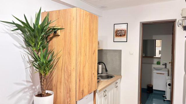 Apartament Boho Stare Miasto نوفة ساونج المظهر الخارجي الصورة
